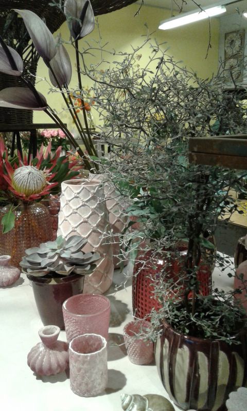 Accessoires - <p>test</p>