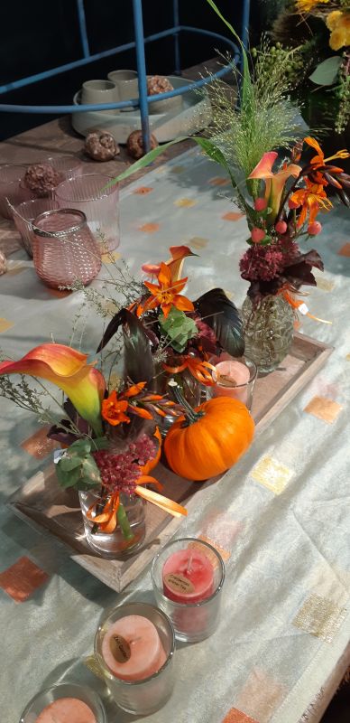 Accessoires - <p>test</p>