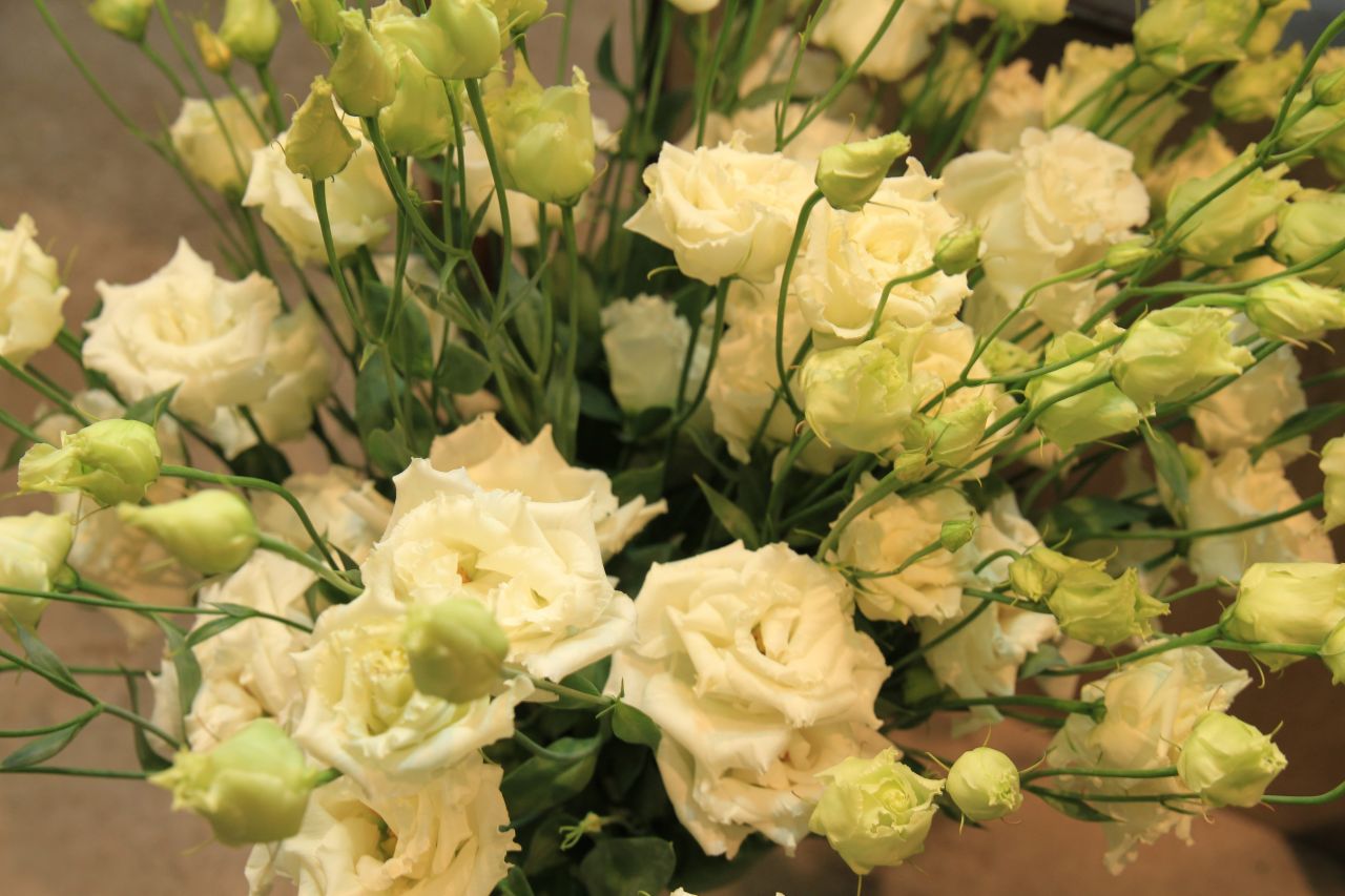 saisonale Schnittblumen -