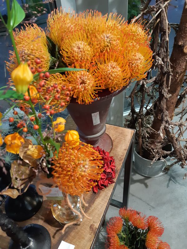 saisonale Schnittblumen -