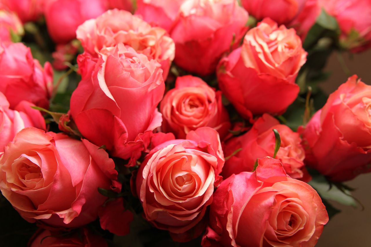 Rosen -