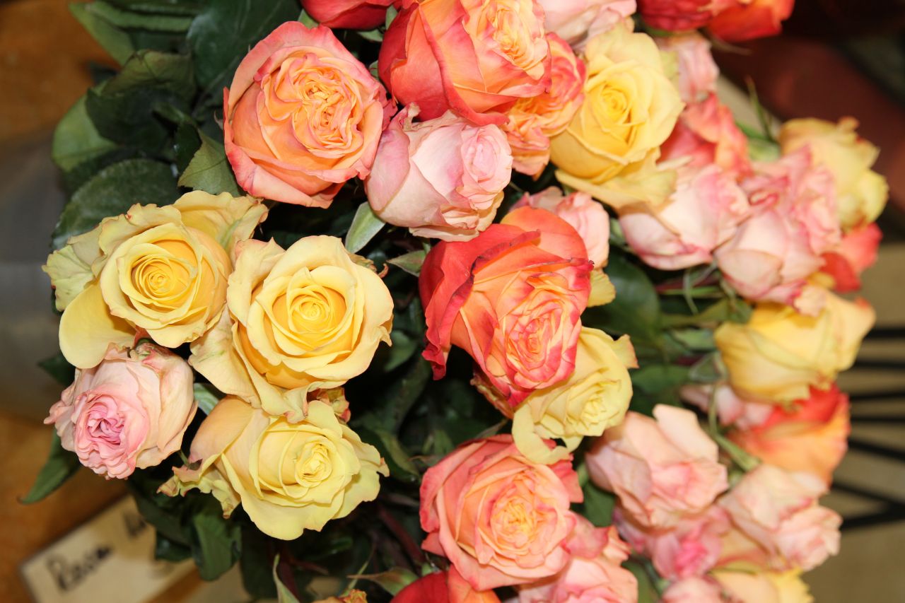Rosen -